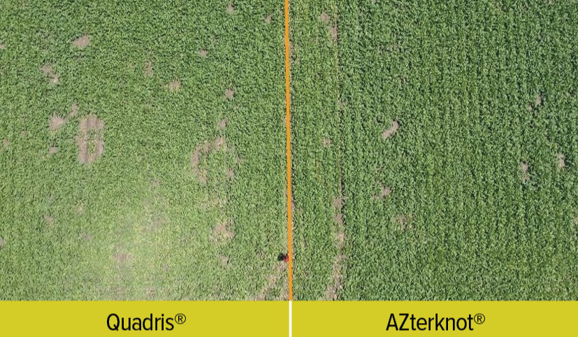 AZterknot vs Quadris ariel sugarbeets-1