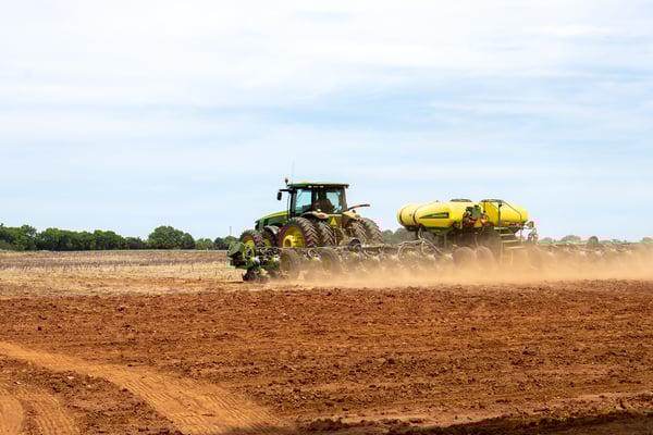 Cotton Planting