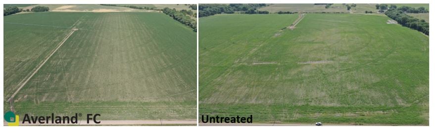 Field comparison