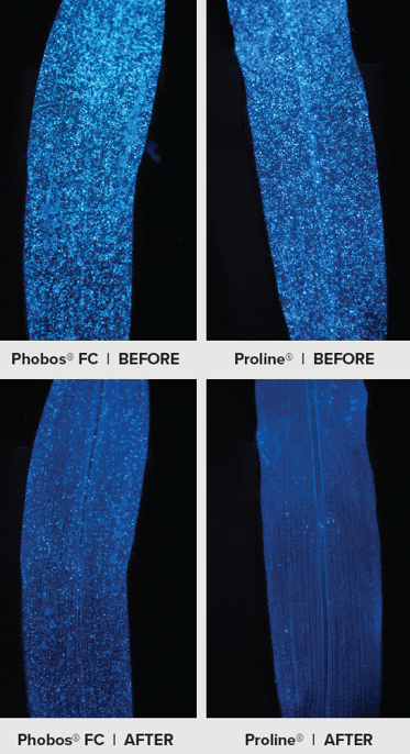 Phobos FC corn leaf side by side