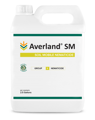 Averland SM jug Averland SM jug