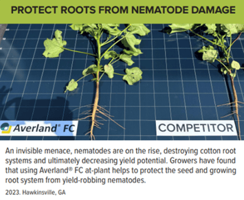 Averland FC vs competitor cotton field trial