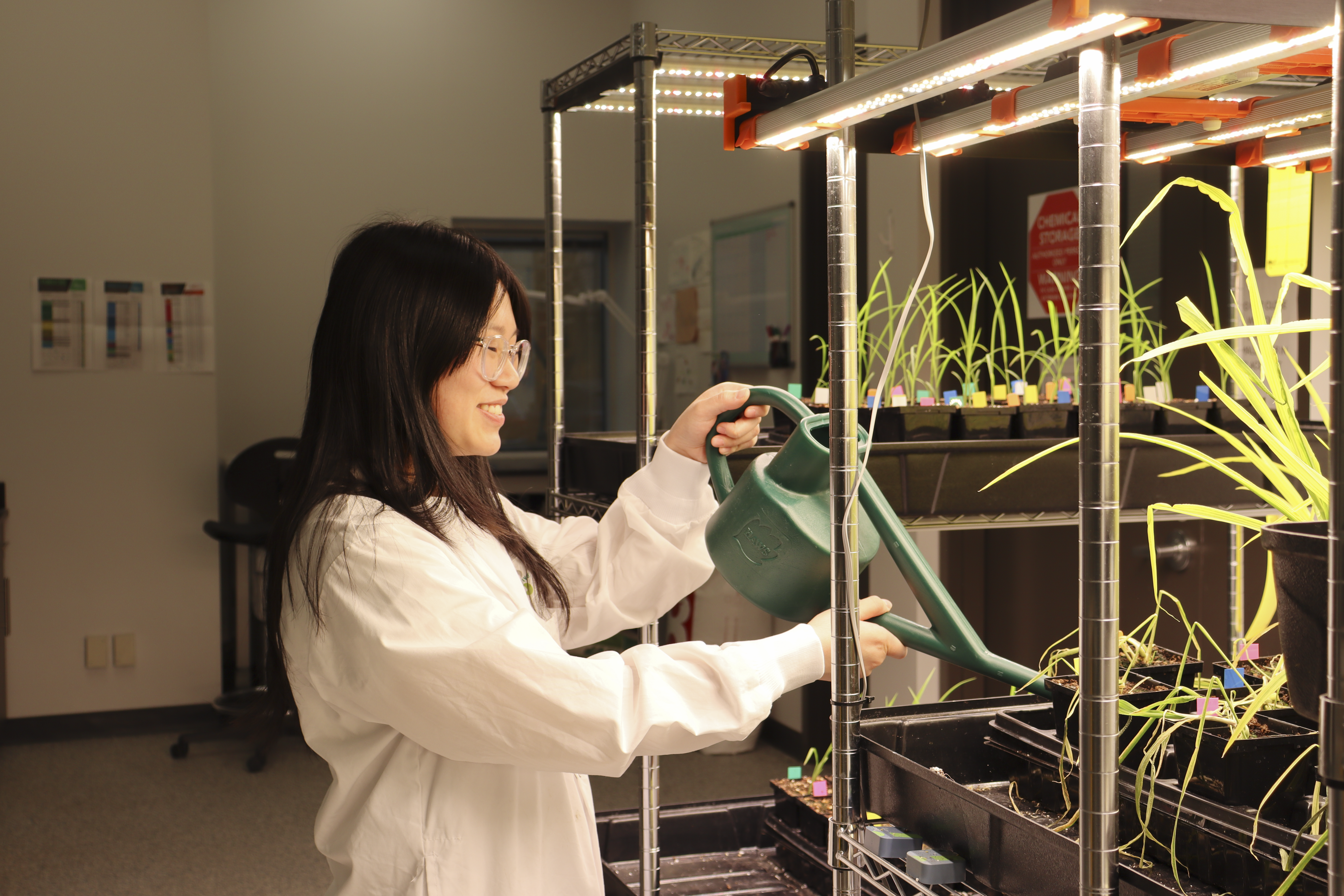 Interning in Agriculture: Where Mentorship Meets Discovery