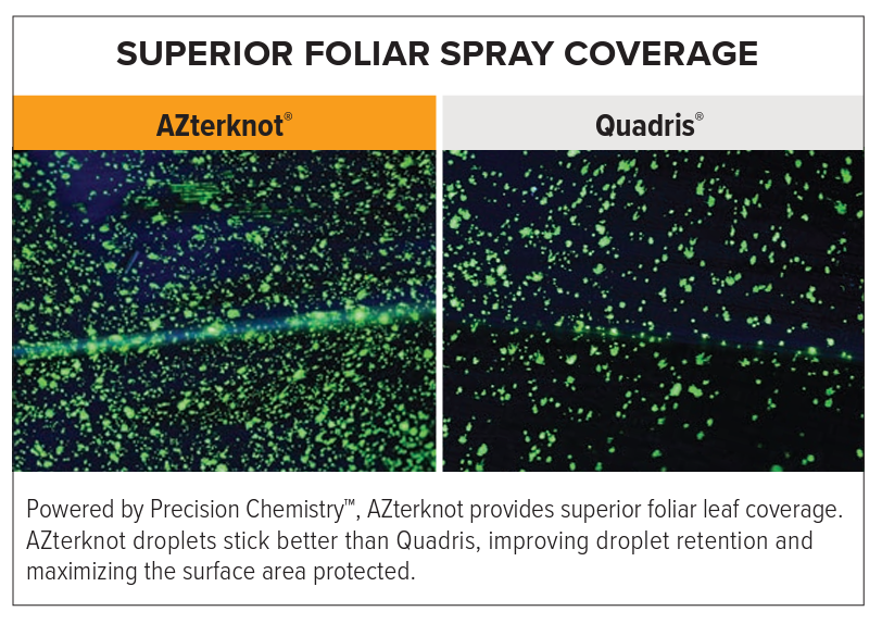 AZterknot Foliar Corn Leaf