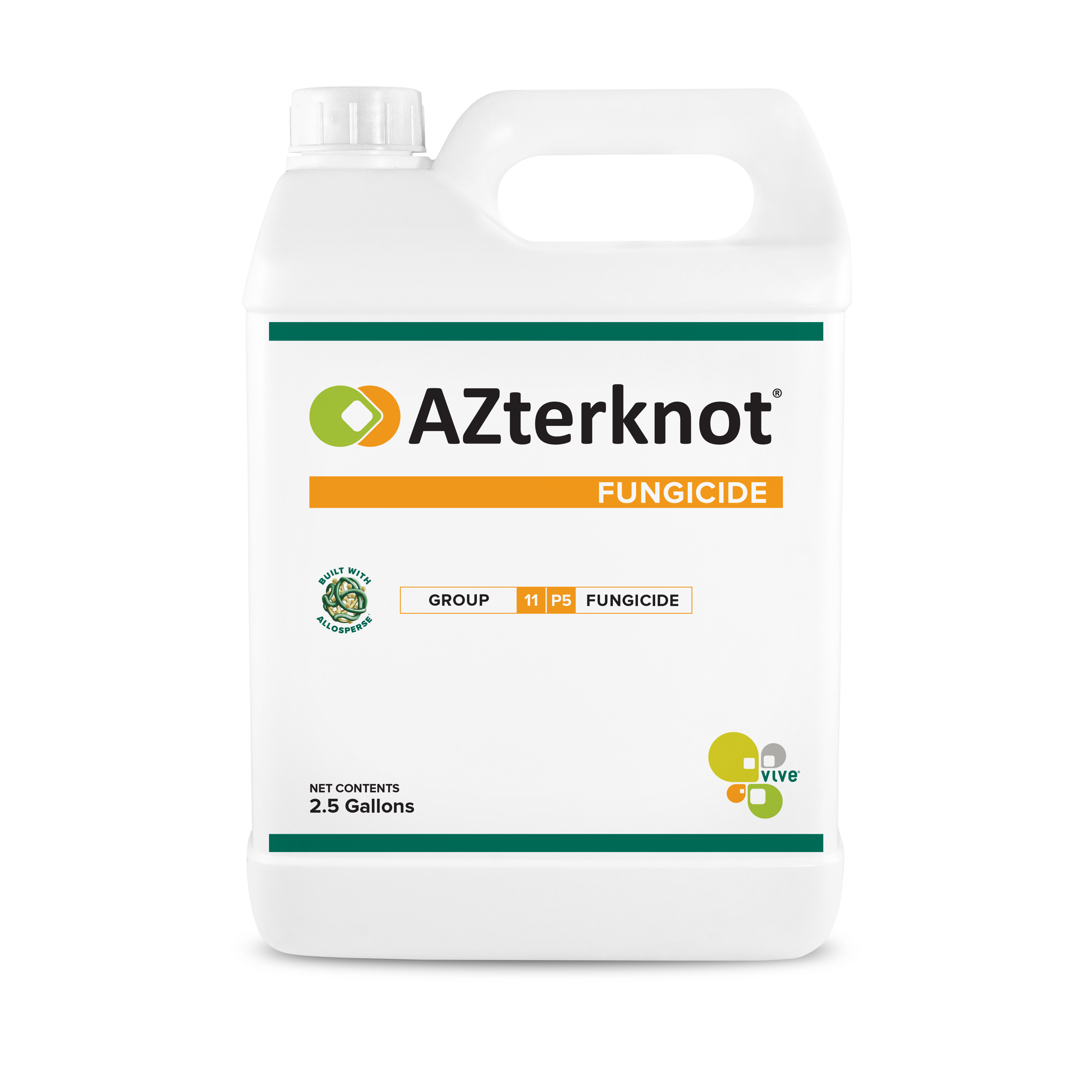 AZterknot Jug 112121