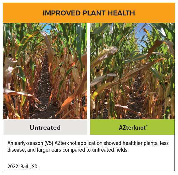 AZterknot V5 Corn side by side-1