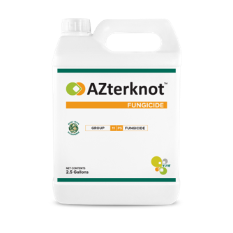 AZterknot vanity jug-1