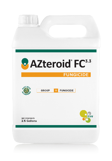 AZteroid FC 33 jug Oct 2021