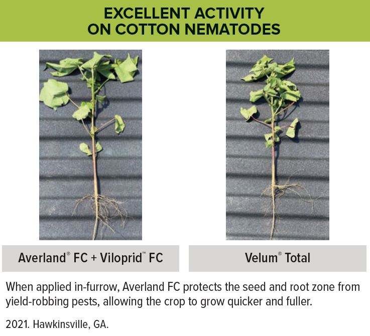 Averland + viloprid vs velum total