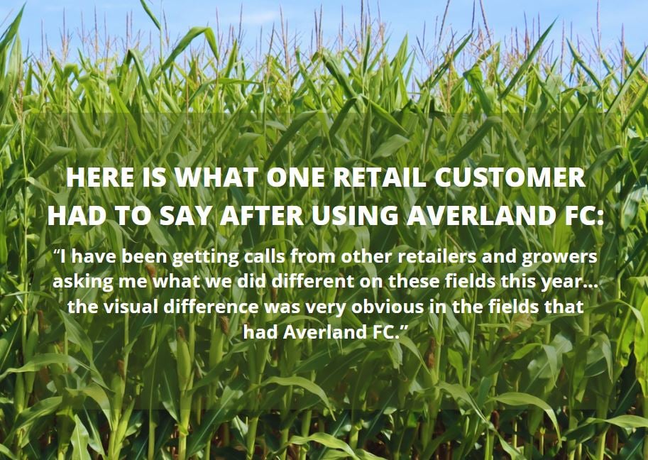 Averland Corn Testimonial
