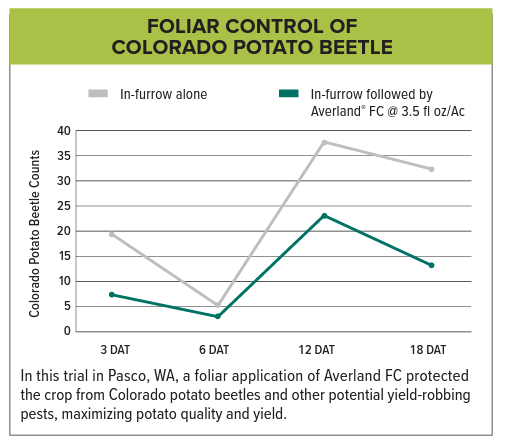 Averland FC Colorado Potato Beetle Chart