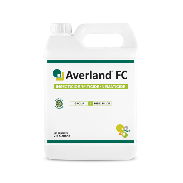 Averland FC_Jug