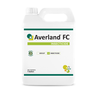 Averland vanity jug-1