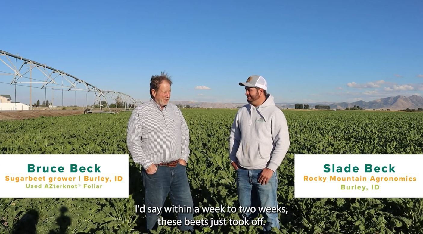 Beck Sugarbeets thumbnail