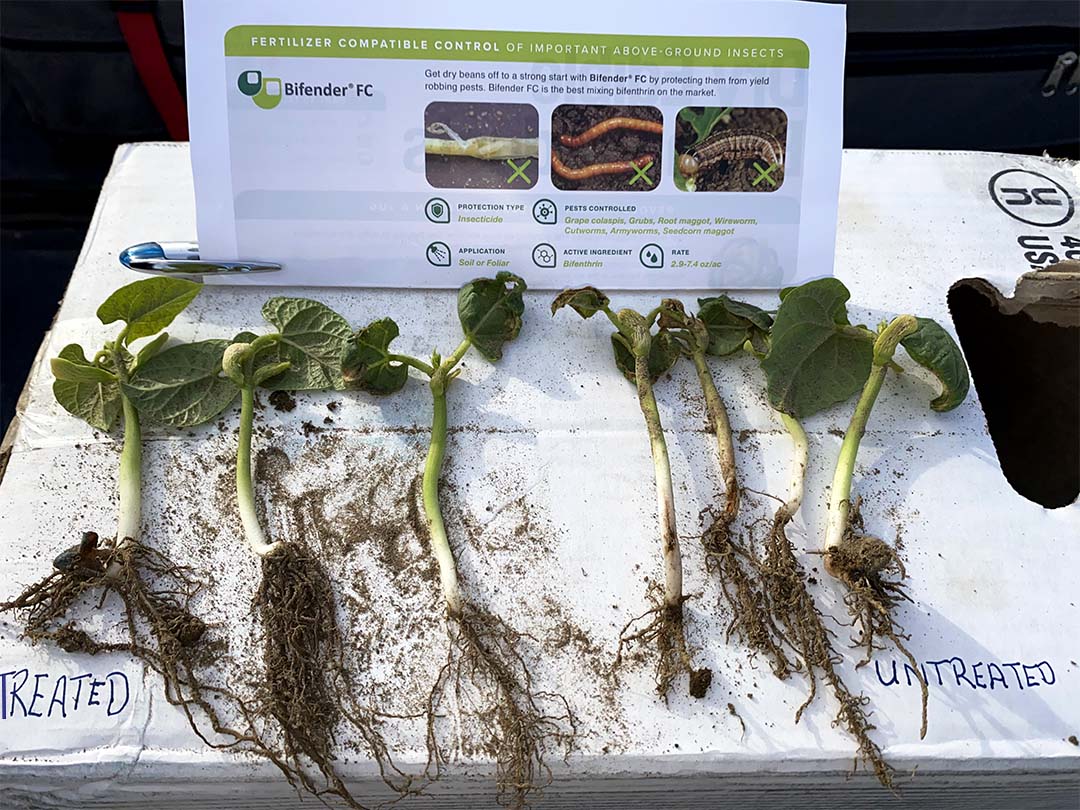 Bifender on Soybeans_untreated v treated