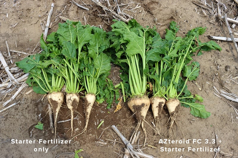 CO Sugarbeet Comparison-1