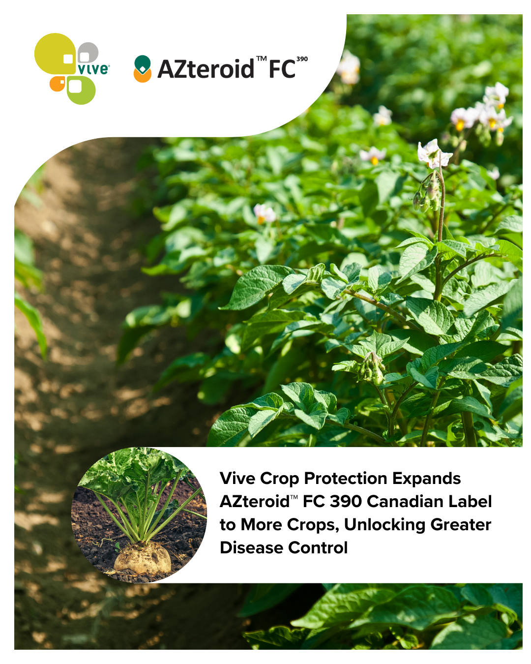 Vive Expands AZteroid™ FC 390 Canadian Label to More Crops, Unlocking Greater Disease Control