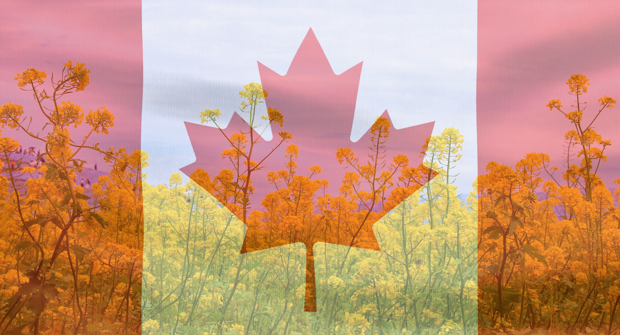 Vive Announces Canadian Registration of&nbsp;Phobos™ FC 360&nbsp;Fungicide