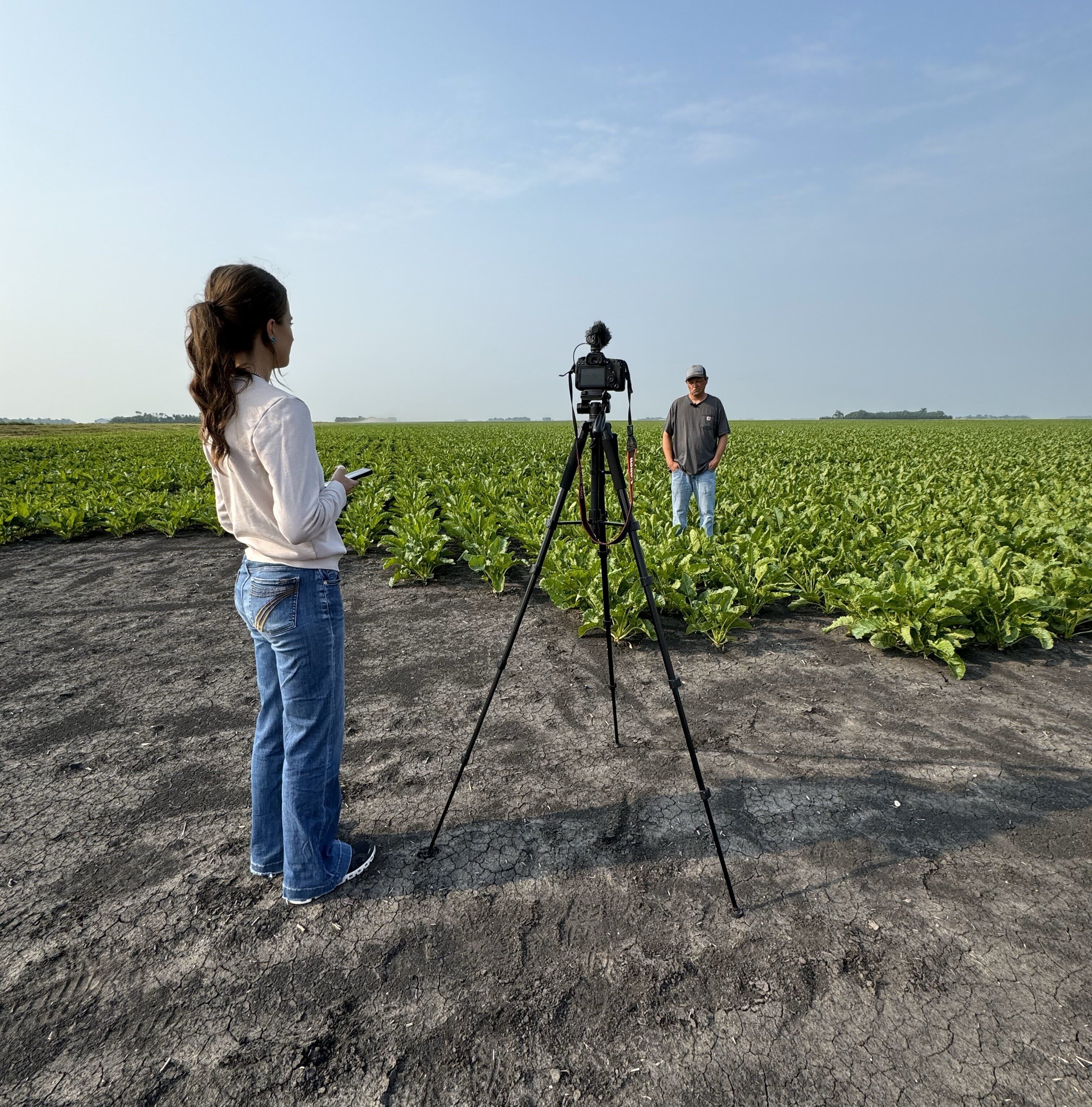 Summer with Vive's 2024 Interns