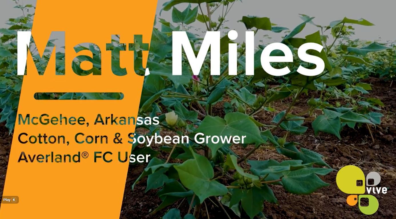 Matt Miles Thumbnail