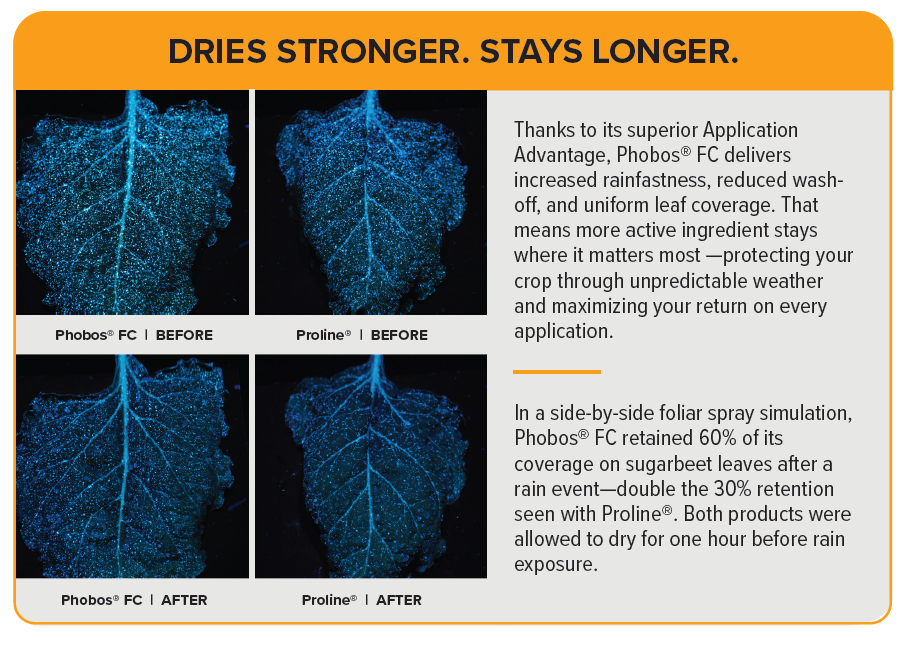 Phobos FC sugarbeet spray image