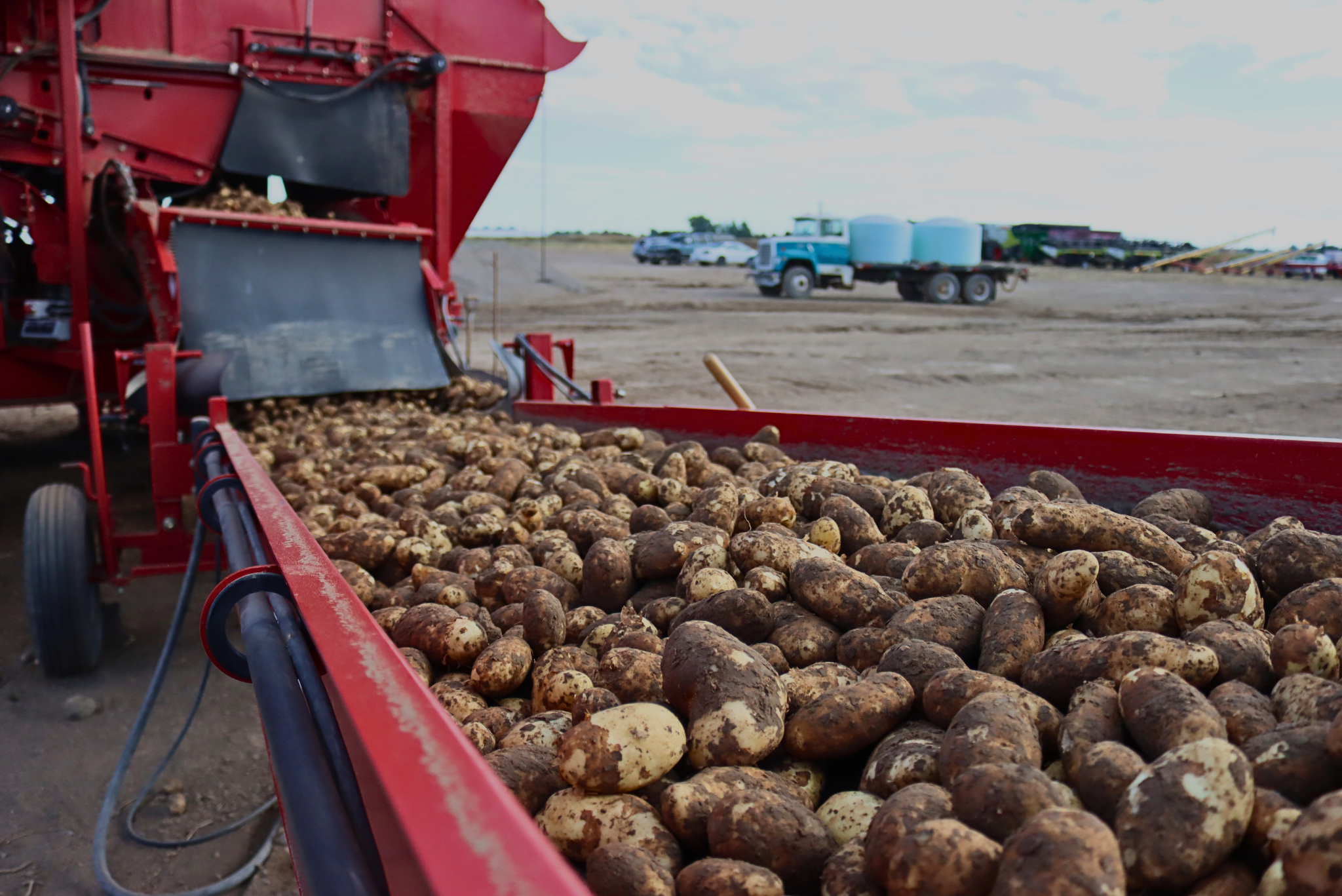 The Growing Threat of Potato Nematodes