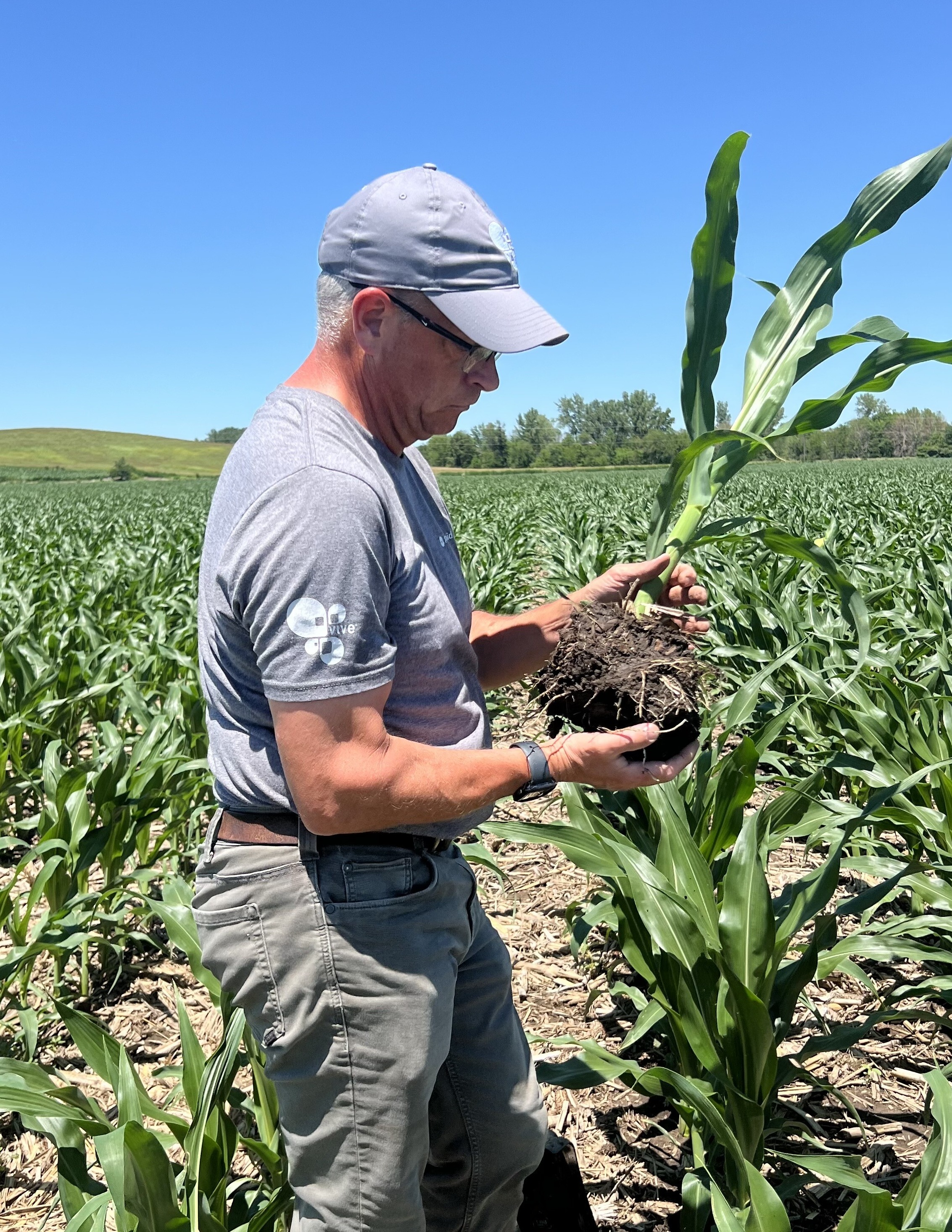 Rob Vincent, Upper Midwest Sales Rep Scouting V5 Corn