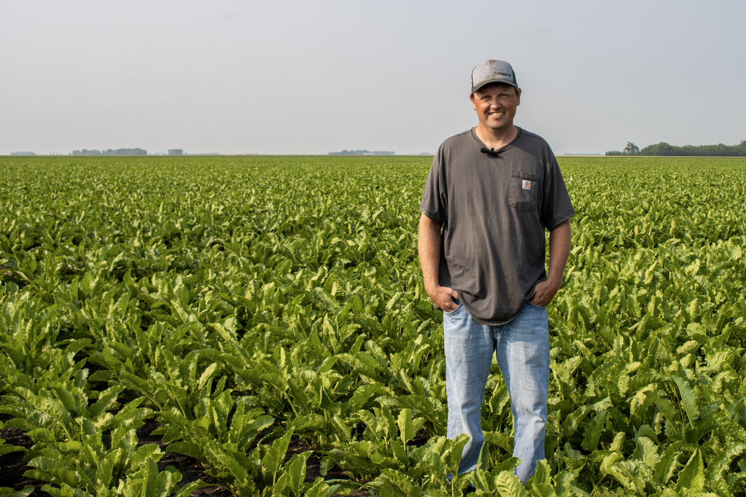 Travis Enright - sugarbeets - MN-1