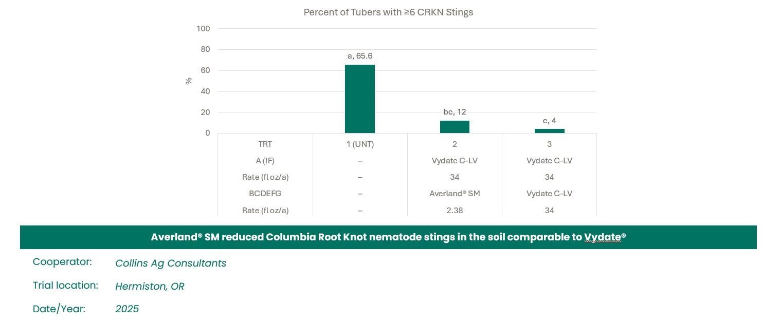 Tubers with CRKM Stings