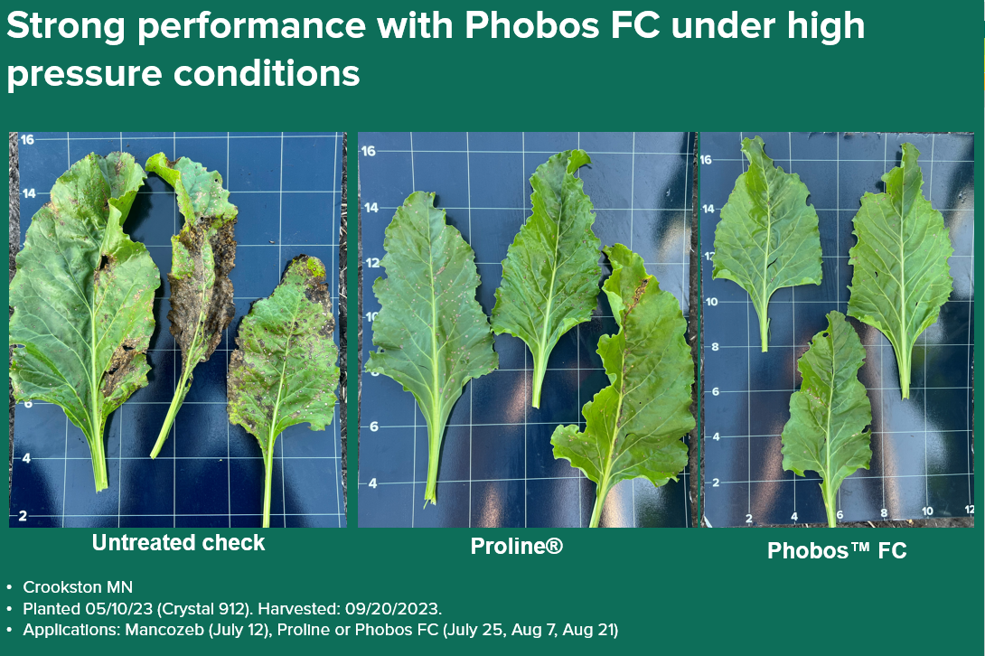 UT vs PR vs Phobos