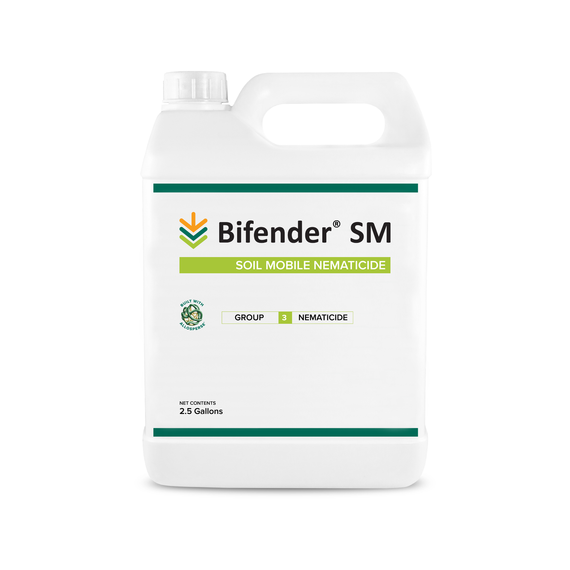 Untitled design (21)