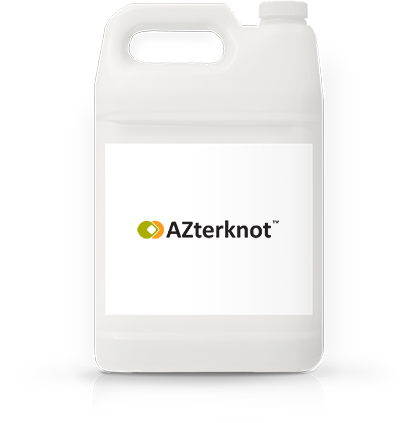Azterknot