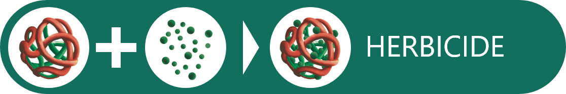 Herb