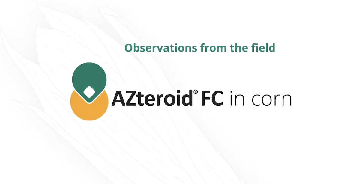 Field Observations: AZteroid FC 3.3 in Corn