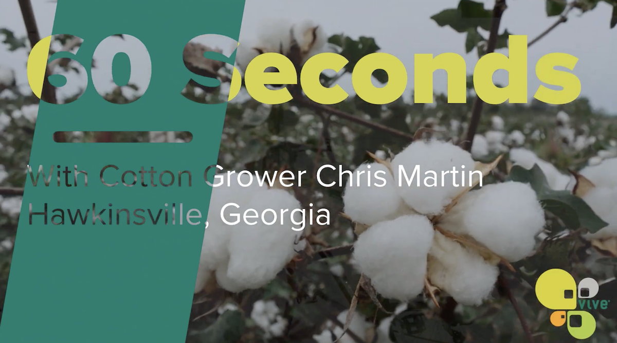 Georgia Farmer Finds Solution for Nematodes in Cotton