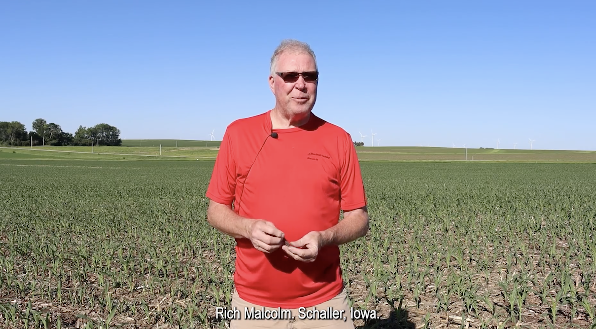 Iowa Corn Grower/Crop Consultant Discusses Benefits of Vive Products