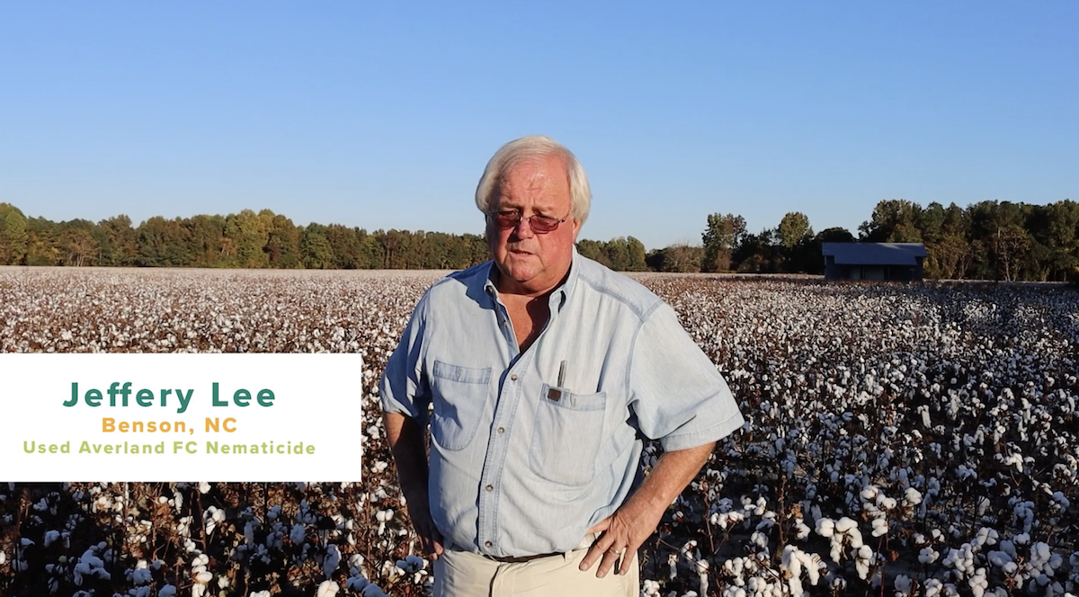 NC Cotton Grower Uses Averland FC to Fight Nematodes