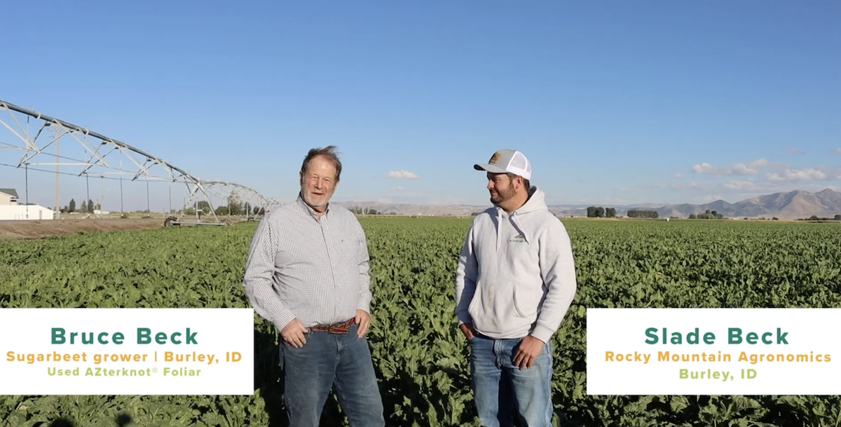 Sugarbeet Grower Uses AZterknot