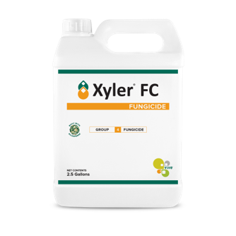Xyler FC vanity jug