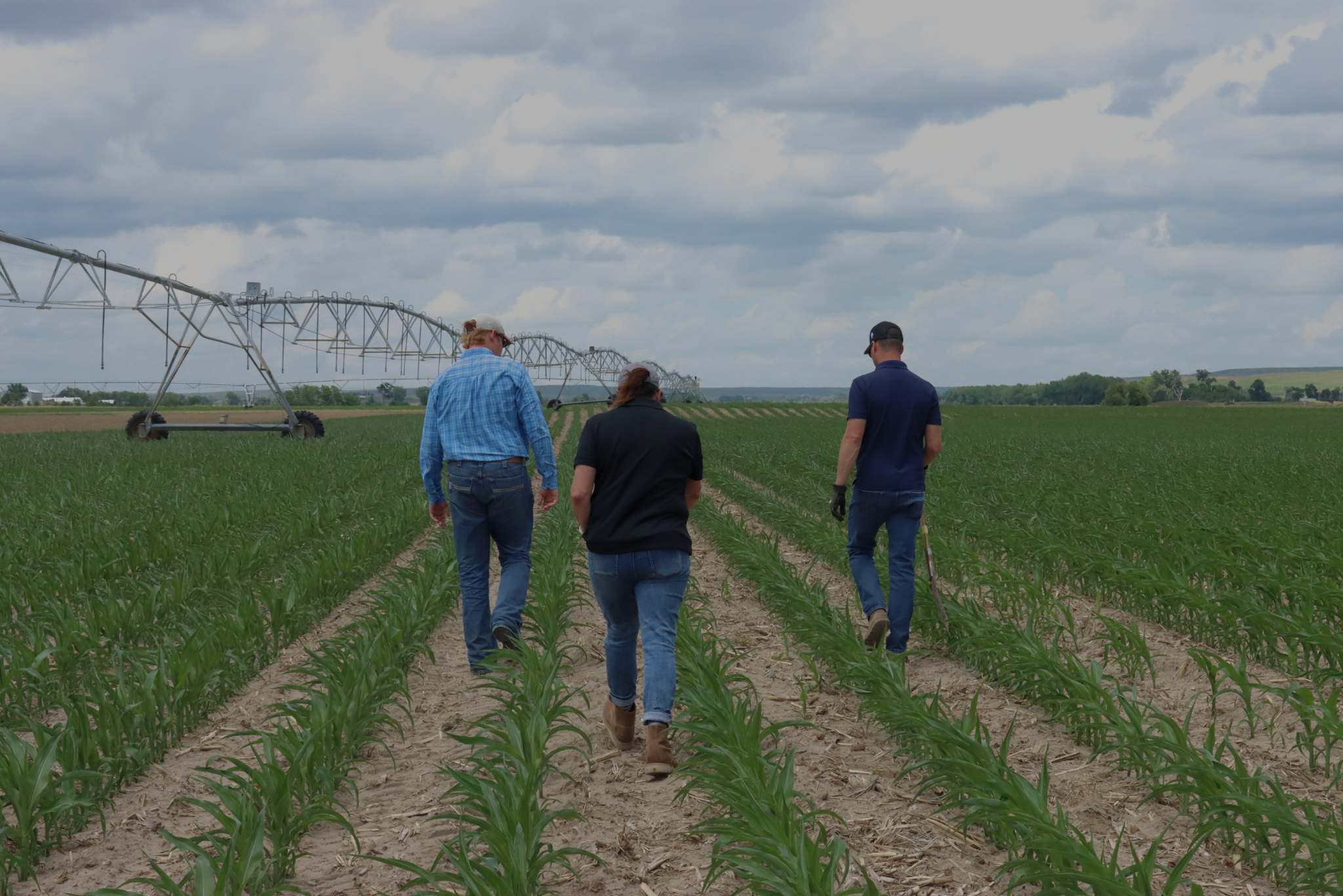 Vive Crop Protection Expands Canadian Commercial Team