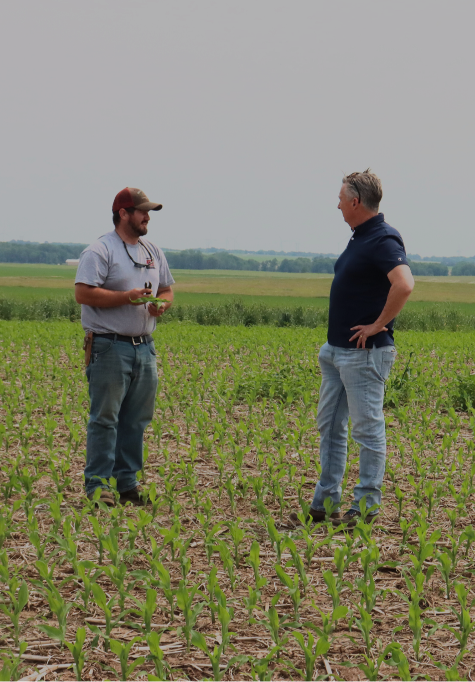 Vive Sales Rep and an agronomist