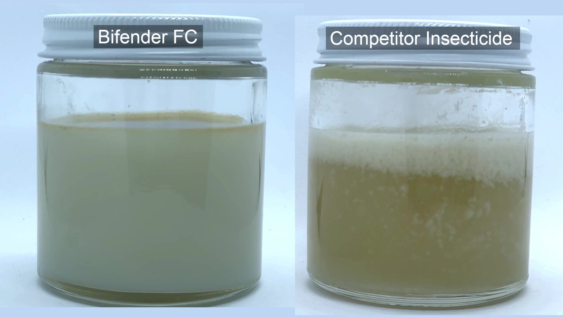 Bifender FC vs Bifenture Timelapse-thumb