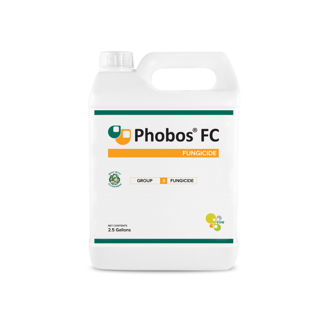 phobos fc jug